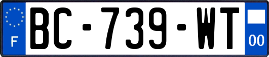 BC-739-WT