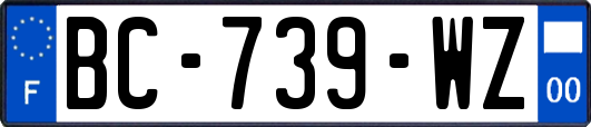 BC-739-WZ