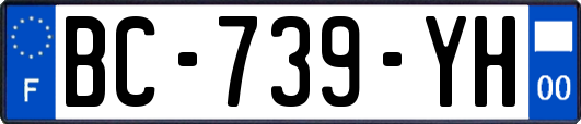 BC-739-YH