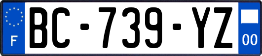 BC-739-YZ