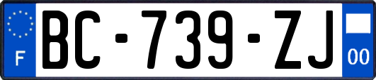 BC-739-ZJ