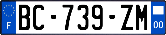 BC-739-ZM