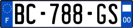 BC-788-GS