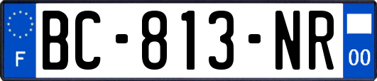 BC-813-NR