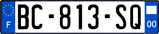 BC-813-SQ