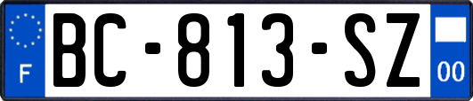 BC-813-SZ