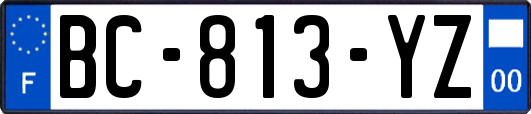 BC-813-YZ