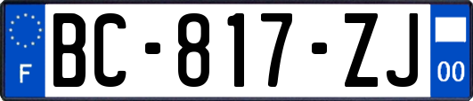 BC-817-ZJ