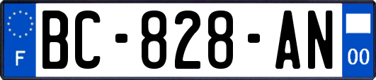 BC-828-AN