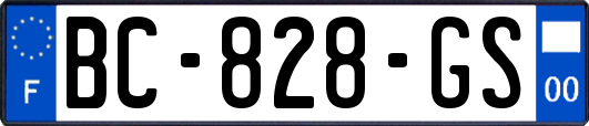 BC-828-GS