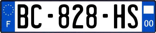 BC-828-HS