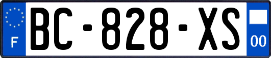 BC-828-XS