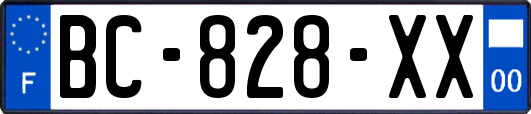 BC-828-XX