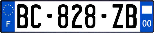 BC-828-ZB