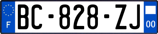 BC-828-ZJ