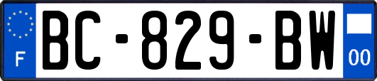 BC-829-BW