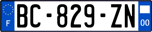 BC-829-ZN