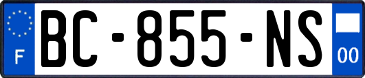 BC-855-NS