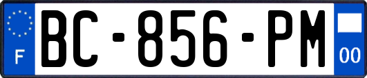 BC-856-PM