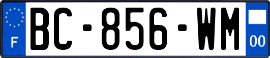 BC-856-WM