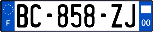 BC-858-ZJ