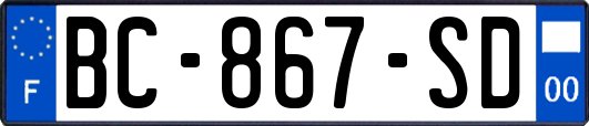BC-867-SD