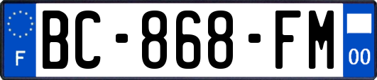 BC-868-FM