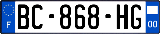 BC-868-HG