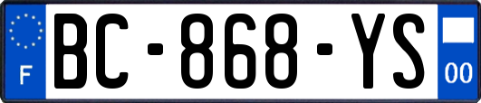 BC-868-YS