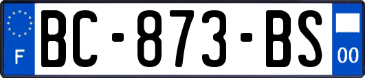 BC-873-BS