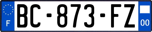 BC-873-FZ