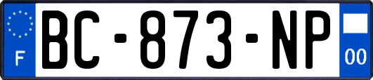 BC-873-NP