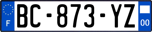 BC-873-YZ