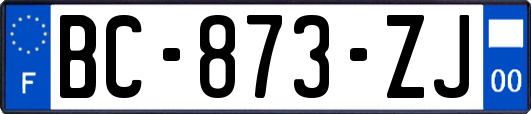 BC-873-ZJ