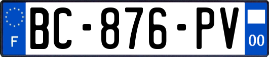 BC-876-PV