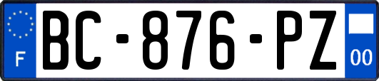 BC-876-PZ