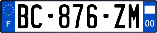 BC-876-ZM