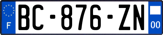 BC-876-ZN