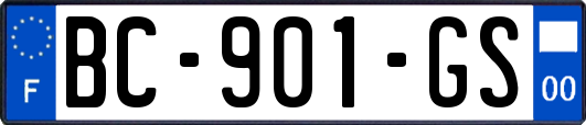 BC-901-GS