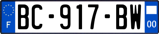 BC-917-BW