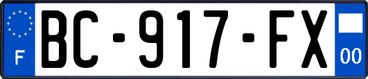 BC-917-FX