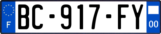 BC-917-FY