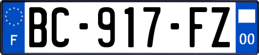 BC-917-FZ