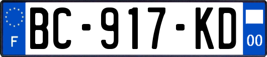 BC-917-KD