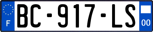 BC-917-LS