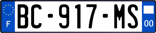 BC-917-MS