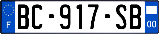BC-917-SB