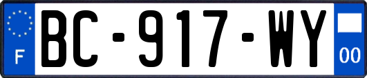 BC-917-WY