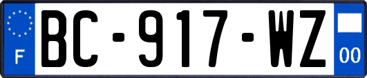 BC-917-WZ