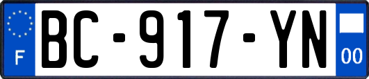 BC-917-YN